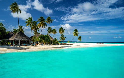 берег, пляж, остров, тропики, бунгало, коричневые, зеленые, синие, голубые, пальма